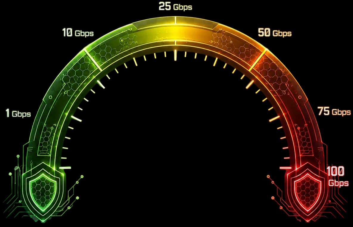 DDoS mitigation capacity gauge spanning 1 Gbps to 100 Gbps